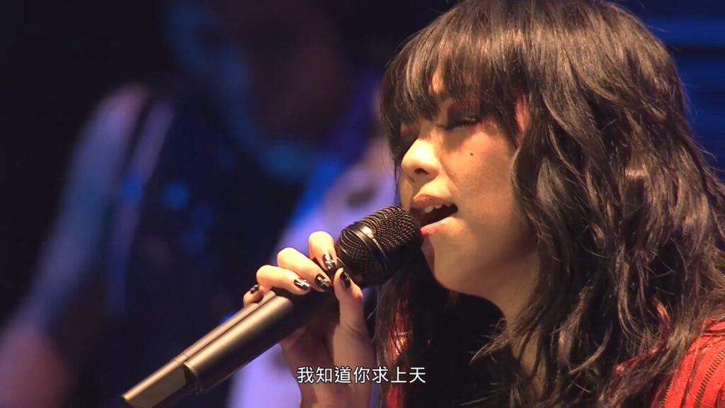 张惠妹 - 2010 阿密特演唱会《2.32G》 2 张惠妹 2010 阿密特演唱会《2.32G》1 3