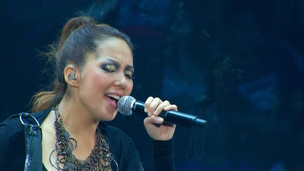 卫兰 2010 Janice Fairy Concert 红馆个人演唱会《2.85G》 2