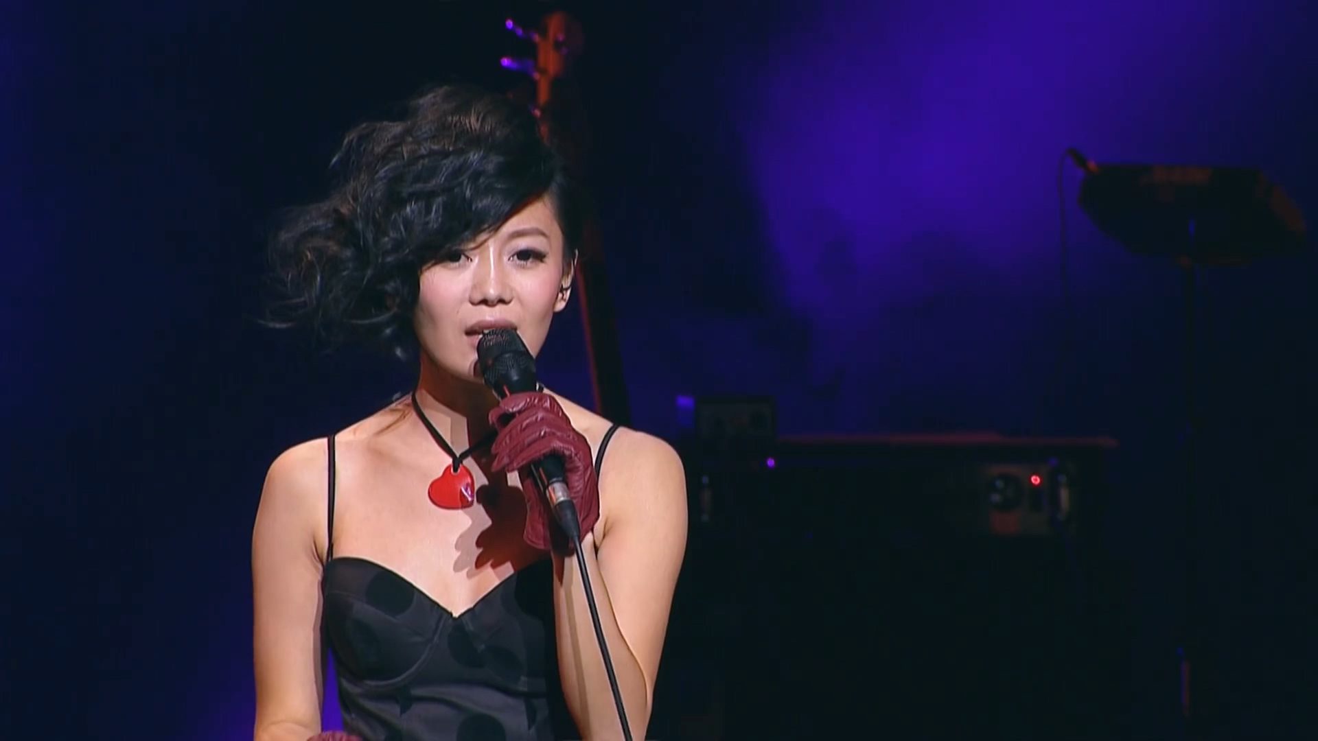 hulin 2011 xianggangyanchanghui 1