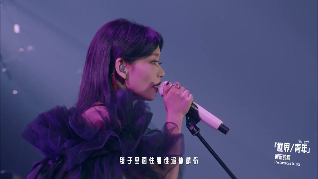 房东的猫 2023 2025 十周年演唱会 4