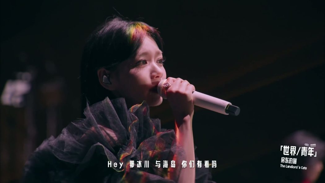 房东的猫 2023 2025 十周年演唱会 8