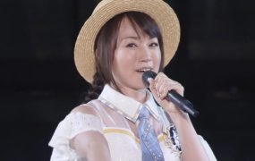 水树奈奈 – 2016 甲子园演唱会《4.19G》