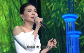 张清芳 – 2015 芳华盛宴演唱会 Stella Live Concert《2.17G》