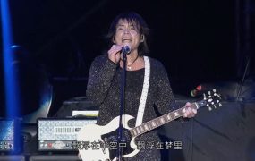 伍佰 – 2013 生命的现场 20周年大感谢台北演唱会《3.44G》