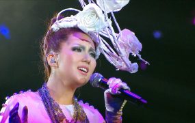 卫兰 – 2010 Janice Fairy Concert 红馆个人演唱会《2.85G》