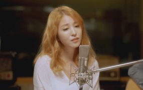 宝儿 – 2015 BoA NOWNESS 演唱会《2.63G》