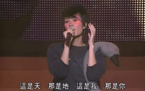王菲 – 2002 日本武道馆 全面体演唱会 FAYE WONG JAPAN CONCERT《1.39G》