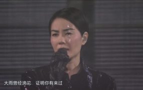 王菲 – 2016 幻乐一场 演唱会《2.01G》