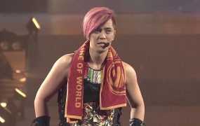 罗志祥 – 2014 极限拼图 演唱会 Show Luo Live Tour《3.17G》