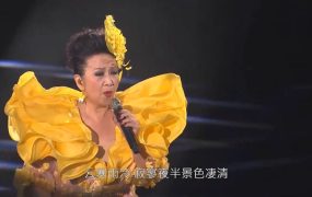 薛家燕 – 2018 爱你无限60年 香港红馆演唱会《1.86G》
