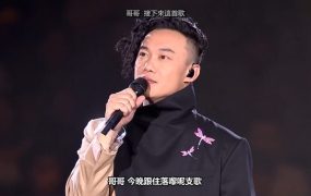 陈奕迅 – 2010 香港红馆DUO演唱会《3.1G》