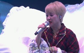 陈慧娴 – 2025 The Fabulous 40 Priscilla Live in Hong Kong 40周年红馆演唱会《3.19G》