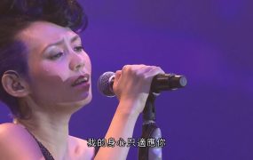 陈洁仪 赵增熹 – 2012 倾城音乐会《3.24G》